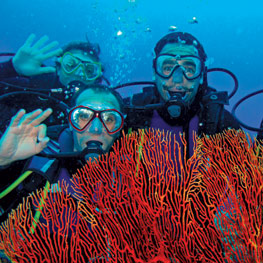 Scuba diving in Ouvea, New Caledonia