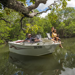 Sortie bateau mangrove à La Foa