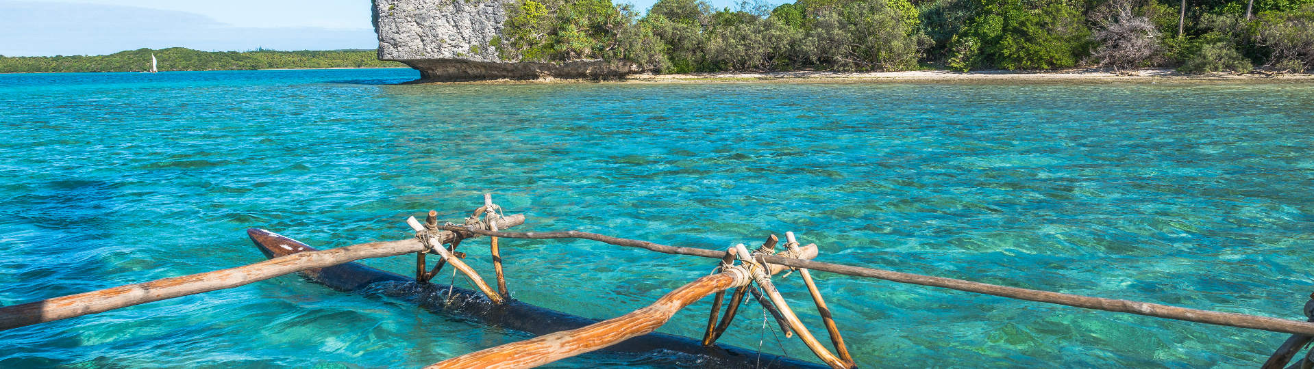 Botanist Validation Portrait Isle of Pines, New Caledonia | New Caledonia Tourism