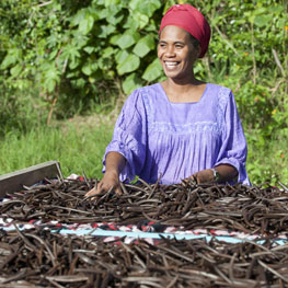 Vanilla plantation in Lifou the Loyalty Islands
