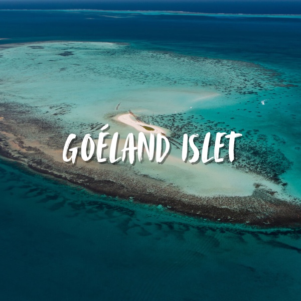 Goéland islet