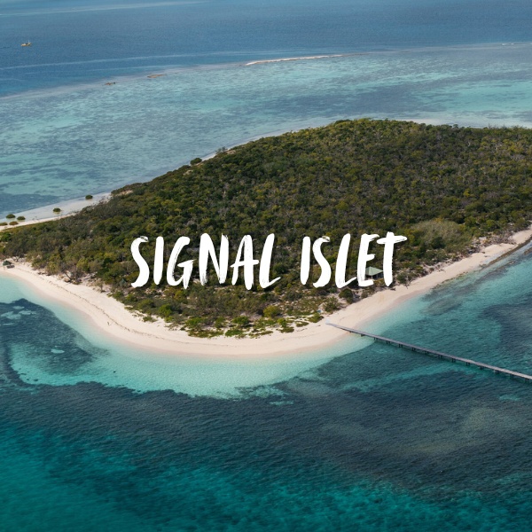 Signal islet