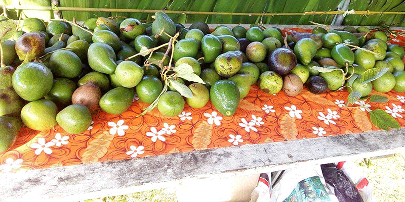 Avocado Festival, Mare Loyalty Islands