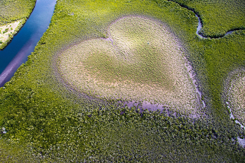 Heart of Voh, New Caledonia