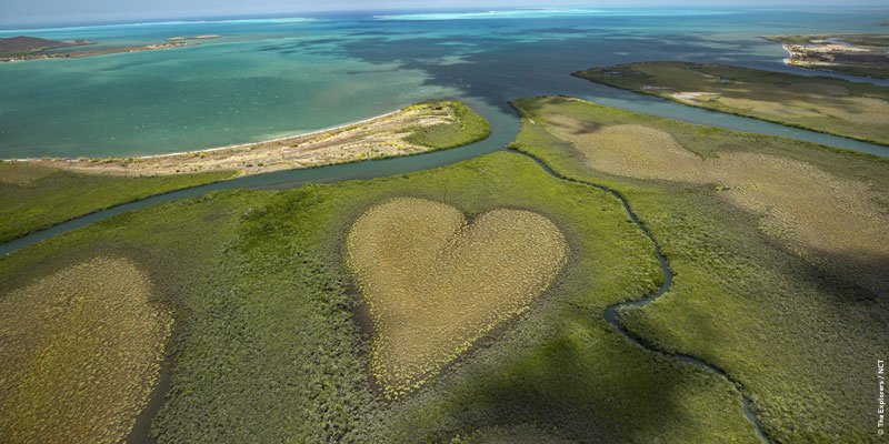 Coeur de Voh Nouvelle-Calédonie