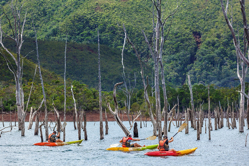 Kayak, Blue River Park, New Caledonia