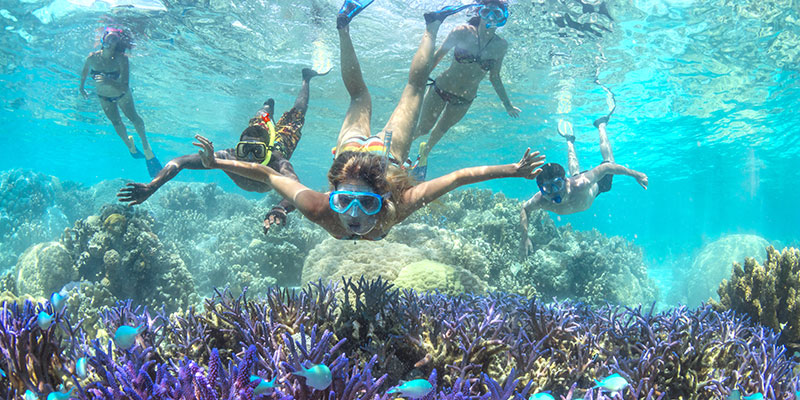 Snorkeling in New Caledonia