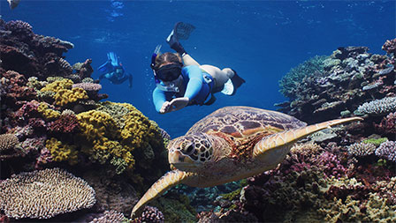 Snorkeling in New Caledonia