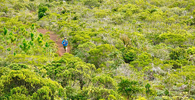 Trail New Caledonia