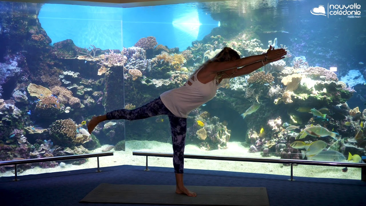 yoga at aquarium des lagons noumea